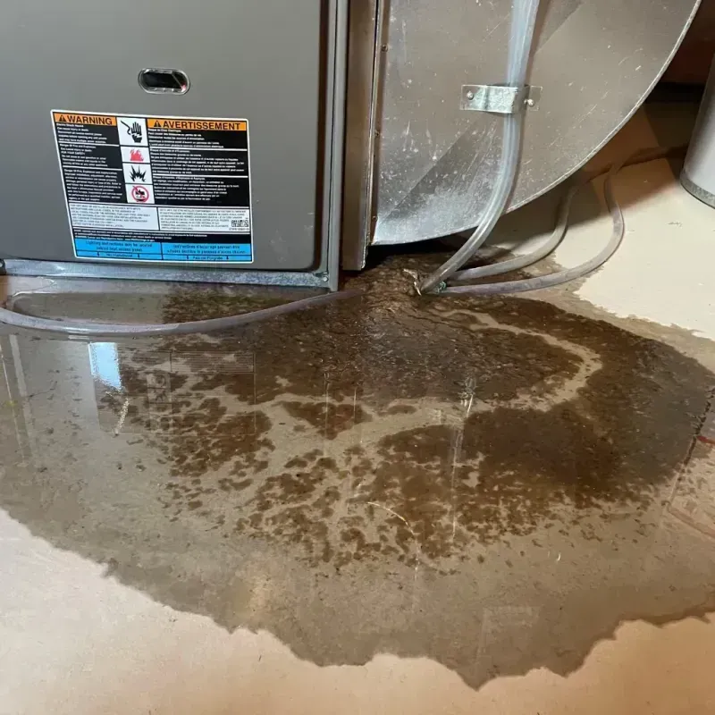 Appliance Leak Cleanup in Vinings, GA